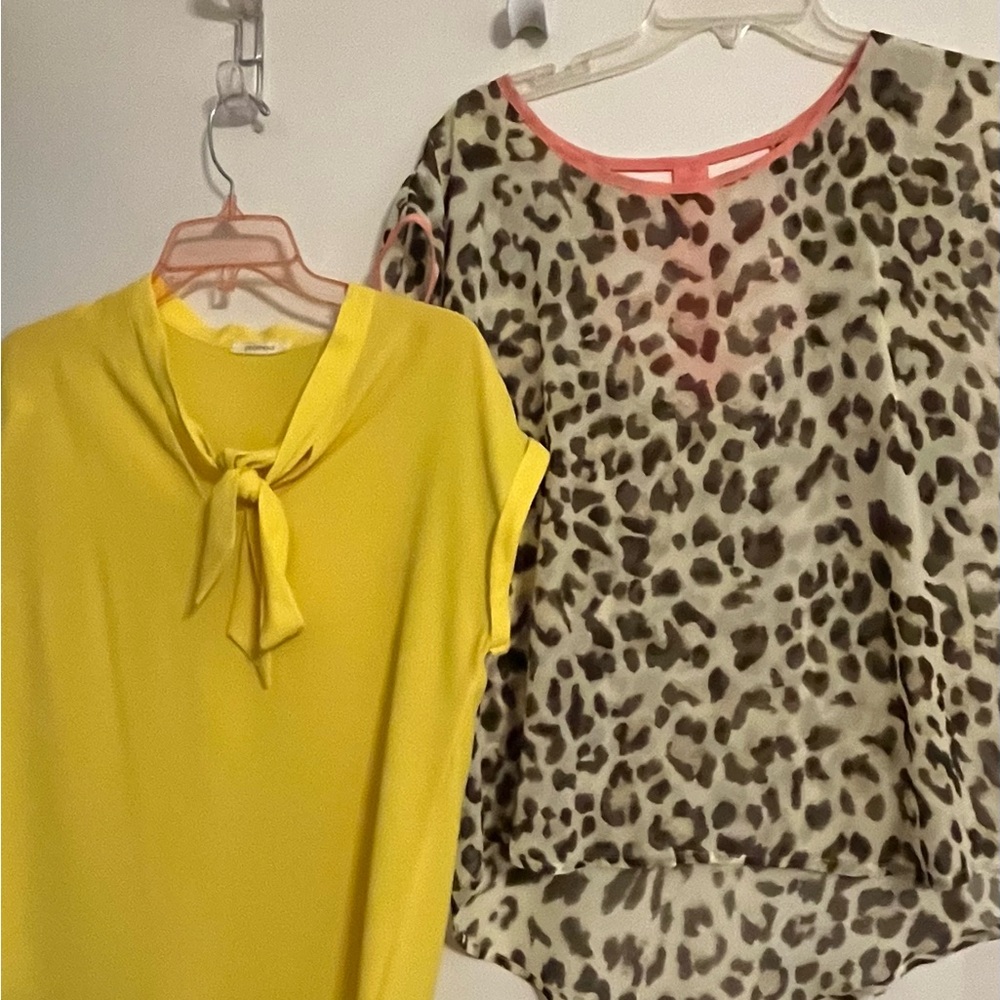 Yellow blouse, Animal print blouse etc.